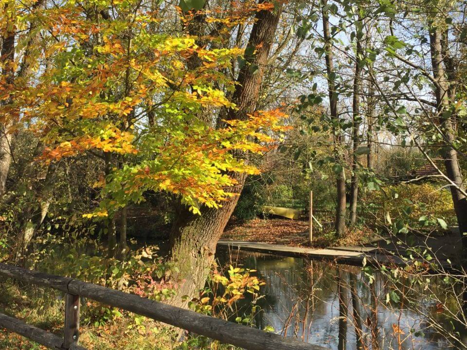 Herbstüberraschung